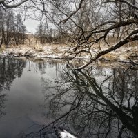 Крона :: sorovey Sol