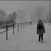 *** :: Aleksandr Gal