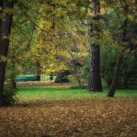 Осенний пейзаж. :: Лилия *