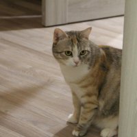 На ночь глядя.. :: Екатерина Леш