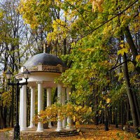 В парке осень :: VikArt 