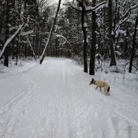 Вот так и живем :: Андрей Лукьянов