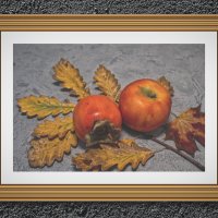 В рамке ... :: Jakob Dick