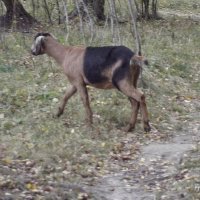 Ты ушла и я ушёл... :: Freddy 97