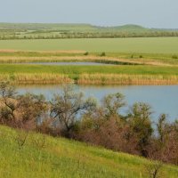 Природная геометрия.... :: Надежда Куркина 