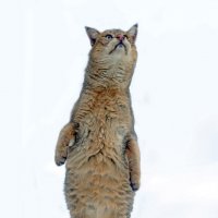 Камышовый 29 января :: Михаил Бибичков