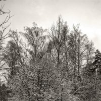 Зима, зима :: Александр 