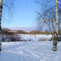 Прогулка по январю :: Мария Васильева