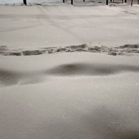 Снег везде :: Татьяна Тюменка Снег везде :: Татьяна Тюменка