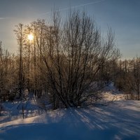 Мороз и Солнце 3 :: Андрей Дворников Мороз и Солнце 3 :: Андрей Дворников