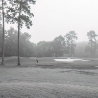 Утро :: **** vedin