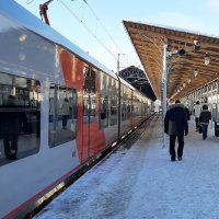 Ласточка :: Наталья Герасимова