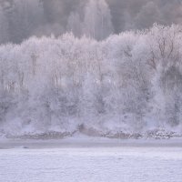 Мороз... :: Виктор Желенговский