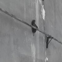 Чей туфля? :: Игорь Солдаткин