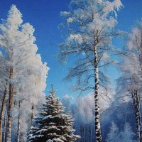 Красота :: Людмила Смородинская