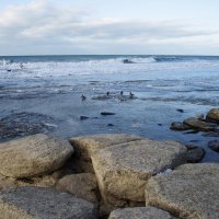 Каспий :: Анатолий Чикчирный