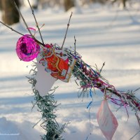 О флэшбэках новогодья... :: Андрей Заломленков