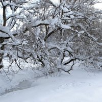 Зима в январе. :: Милешкин Владимир Алексеевич 