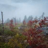 Туманная стража. :: Шурф Сьлядек 