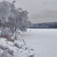 50 оттенков серого... :: Ирина С