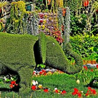 ЦВЕТОЧНЫЙ СЛОН В ПАРКЕ КУЗЬМИНКИ :: Валентина 