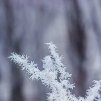 Зимние зарисовки. .. :: Ravile 