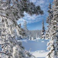 Зимние зарисовки .... :: Ravile 