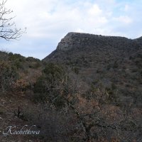 Природа Крыма :: Amazing Cosmea