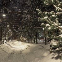 Зимний Вечер :: юрий поляков