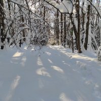 Прозрачный свет :: Игорь Ч. Прозрачный свет :: Игорь Ч.