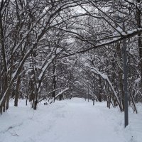 По аллее парка... :: Freddy 97