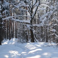 Прогулка :: Андрей Зайцев