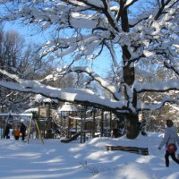 Бегом от мороза :: Анна Воробьева