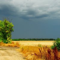 Перед грозой. :: Владимир 