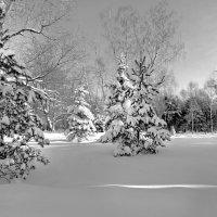 . :: РИТА ЛЕВКОВА