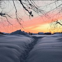 По сугробам к закату :: Наталия 