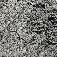 Мороз и иней :: Михаил Свиденцов