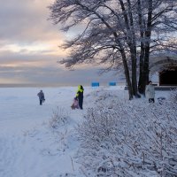 Рыжик и другие 2... :: Sergey Gordoff