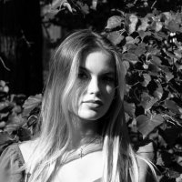 Взгляд из теней :: Игорь Николаев