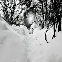 После снегопада. :: Михаил Столяров