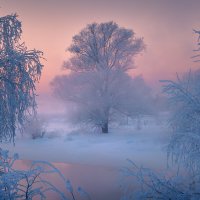 На"подмостках"январского вечера (Татьянин день) ... :: Roman Lunin