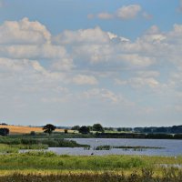 Плывут по небу облака, скользят бесшумно над землею... :: Надежда Куркина