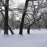 Петергоф. Парк Александрия :: Наталья Герасимова Петергоф. Парк Александрия :: Наталья Герасимова