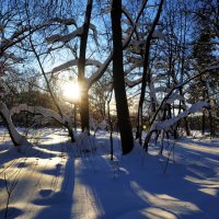 Ну вот и настоящая зима :: Андрей Лукьянов Ну вот и настоящая зима :: Андрей Лукьянов