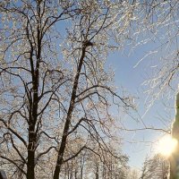 Зимний день :: Игорь Сычёв