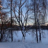 Зимний вечер :: Дмитрий И_