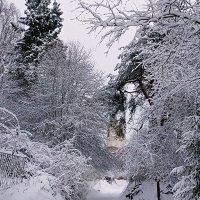 Зимний день на погосте :: Сергей Кочнев