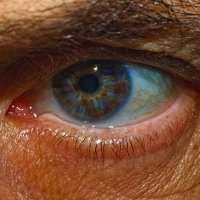 I can see you.3 :: Giant Tao /