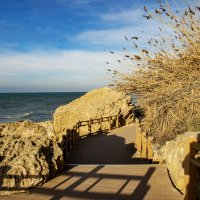 Тень :: Анатолий Чикчирный