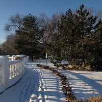 В зимний день :: Мариша 